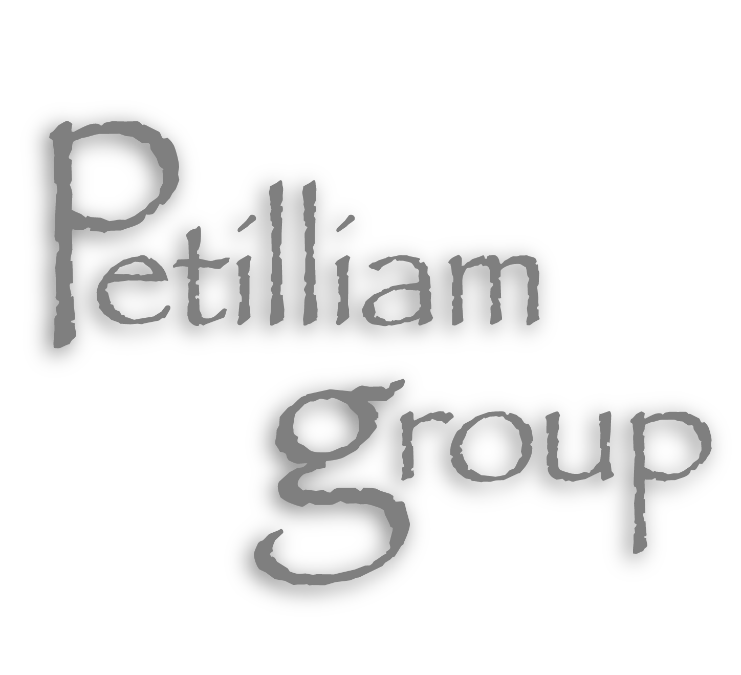 Petilliam Group LLC