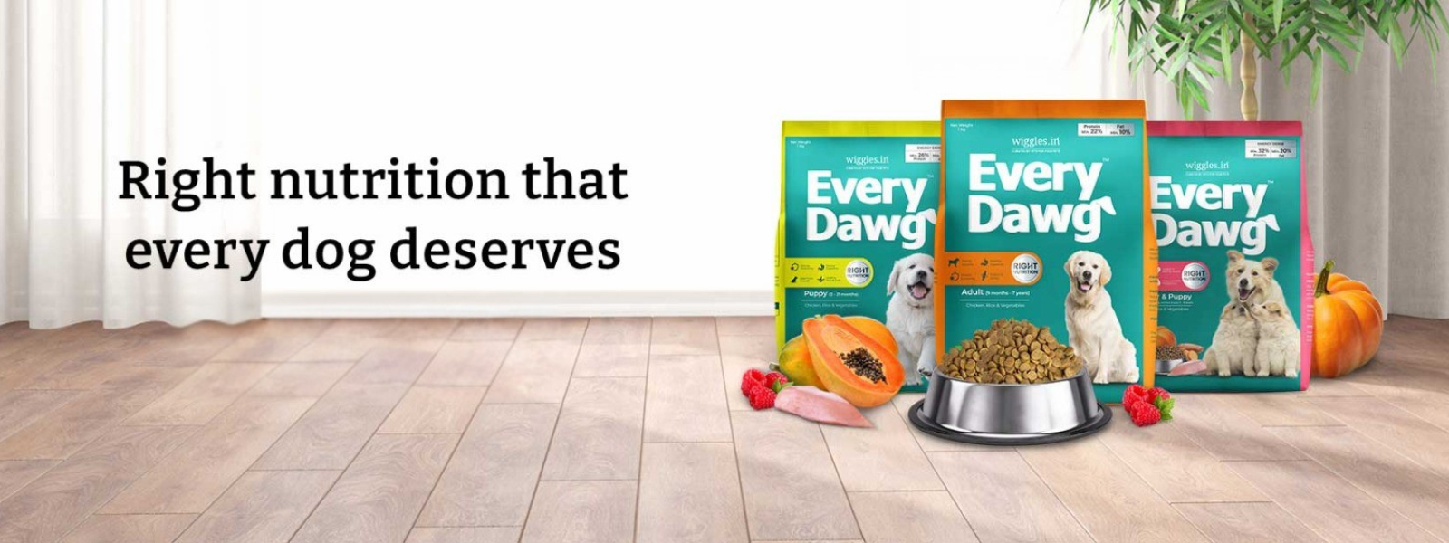 Wiggles | Petcare Brand