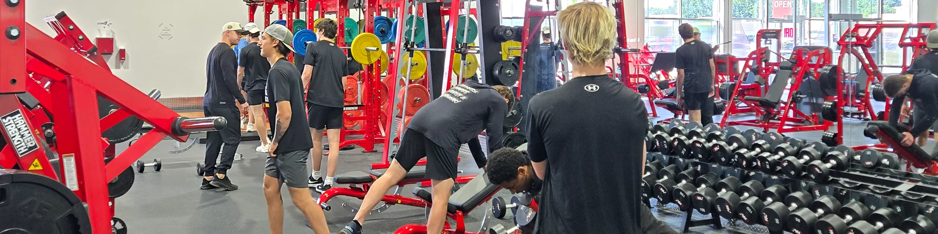 Looking for Investors