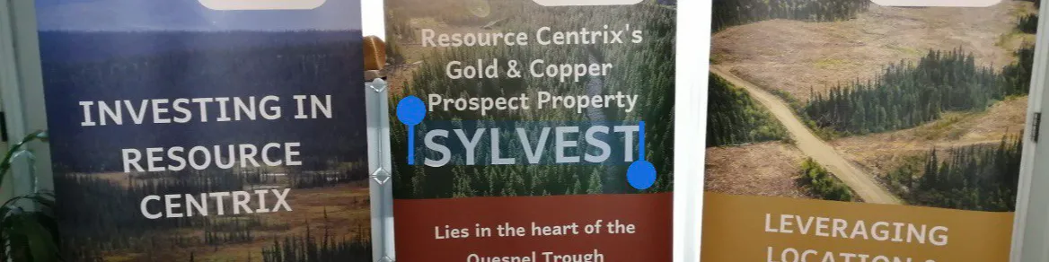 Gold Mining Investment 