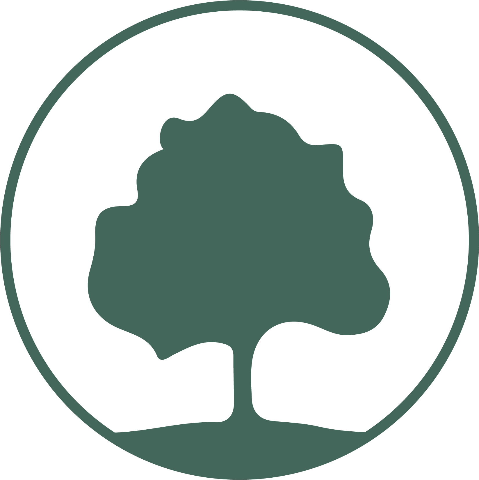 Schools in MX 30% EBITDA