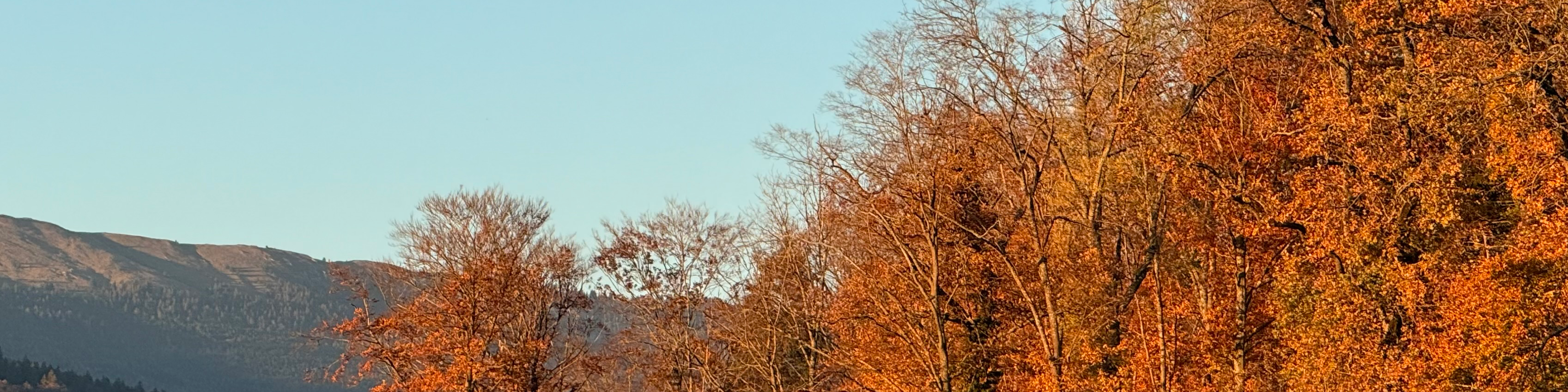 Reprise d’une société 